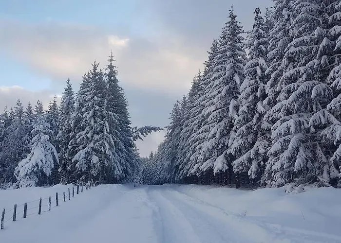 Le Nid Du Colibri - 12 Pers Дом отдыха *